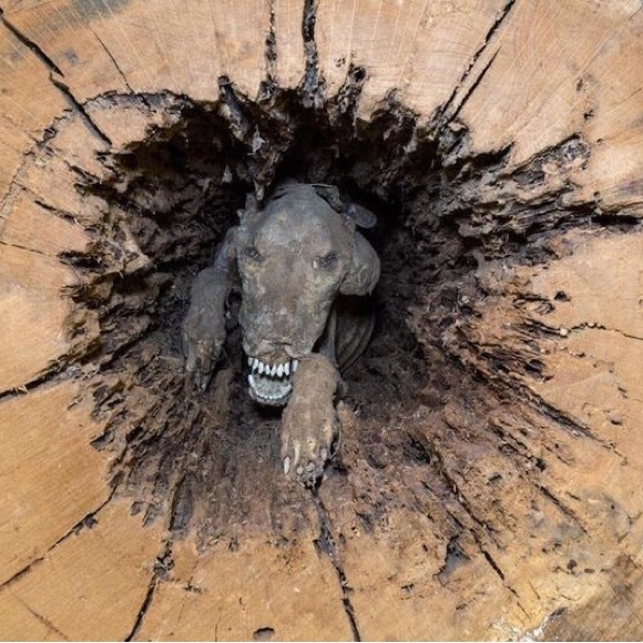 Meet your Posher, Nichole - Picture 3 of 3